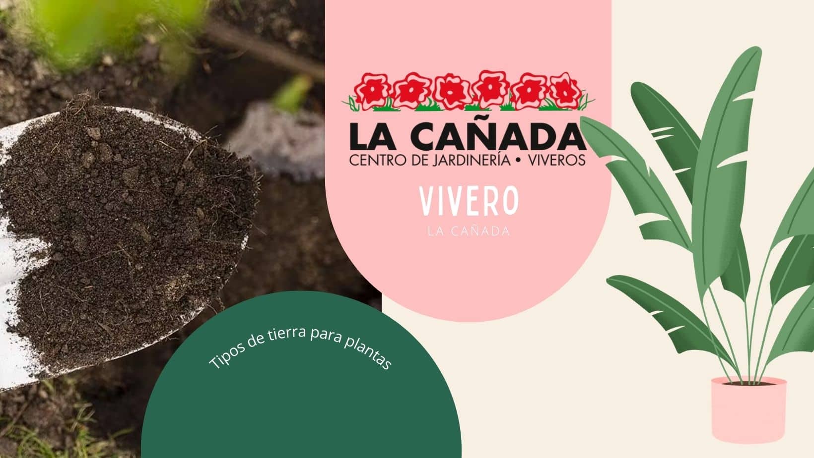 Tipos de tierra para plantas